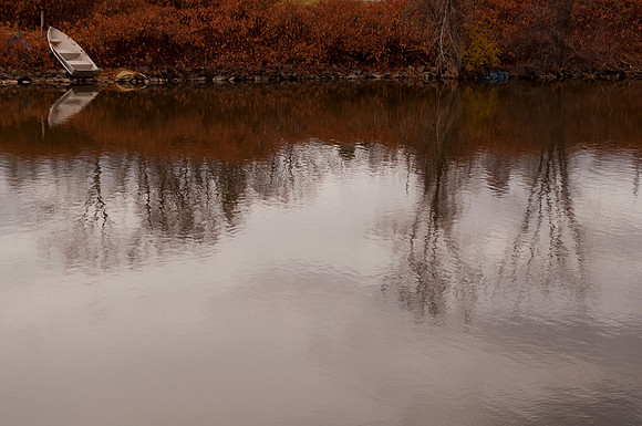 Reflection