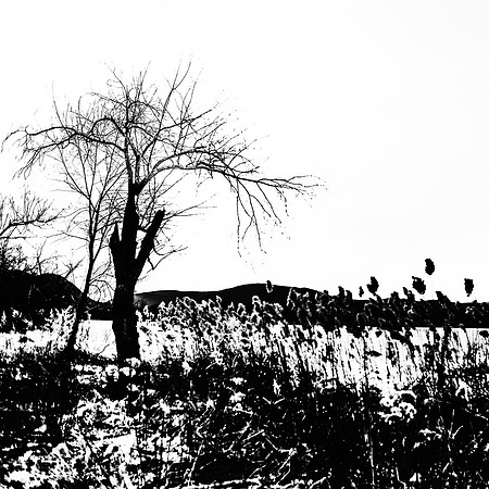 Hibernation (Trans_Lucent 1601-22)