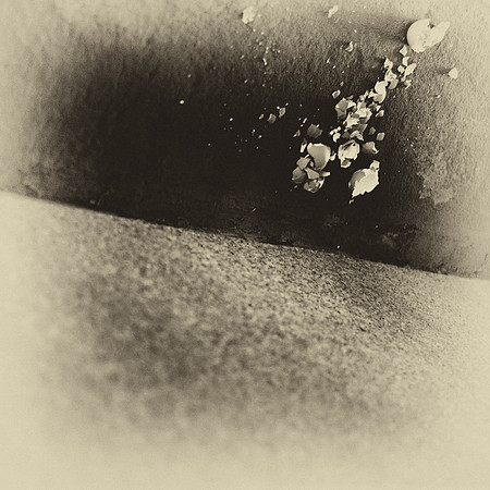 Trans_Lucent 20
